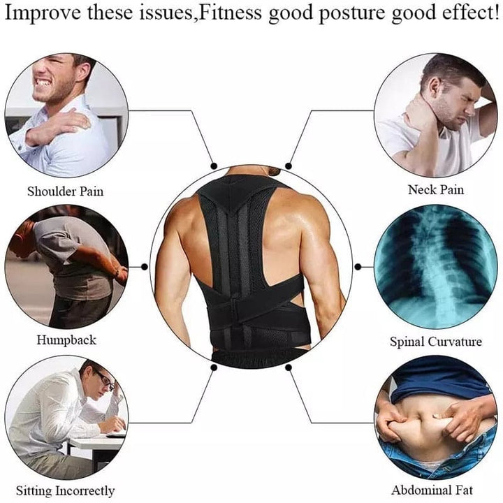Posture Belt